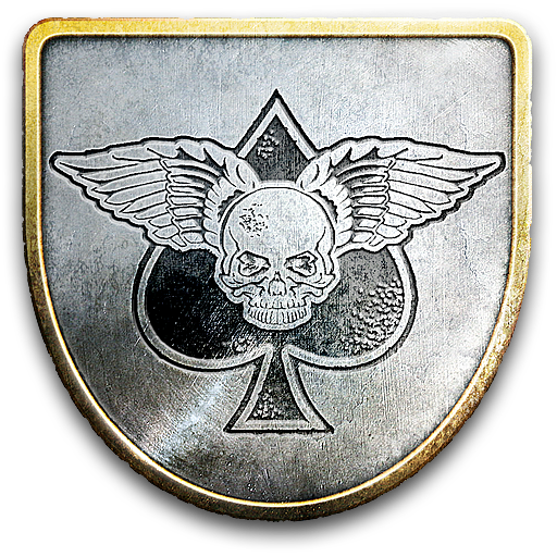 Combat Excellence Pin