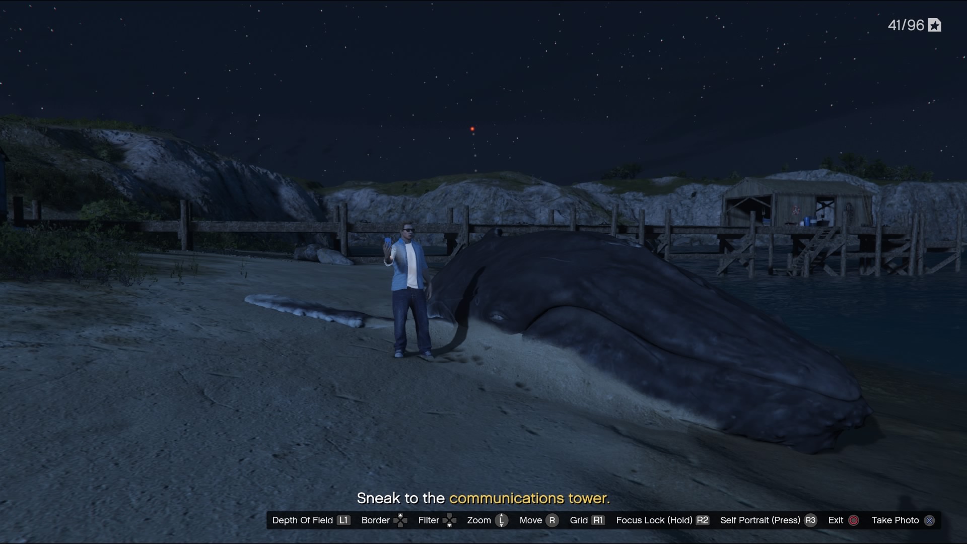 Whale Selfie
